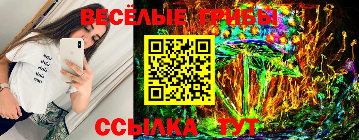 Галлюциногенные грибы GOLDEN TEACHER  Вход с VPN  Энгельс  Псилоцибиновые грибы Psilocybine cubensis 